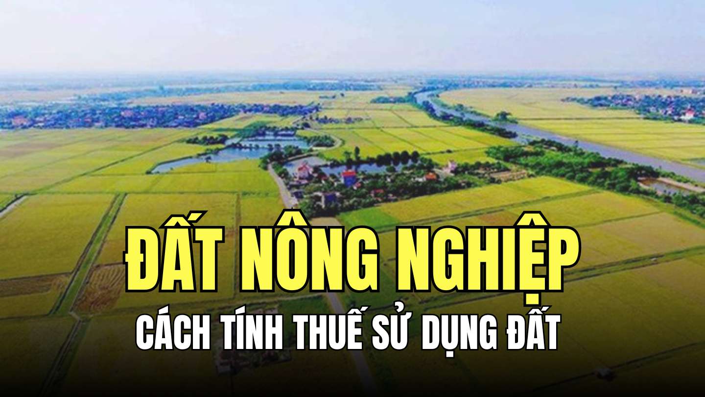 Đối tượng chịu thuế sử dụng đất nông nghiệp