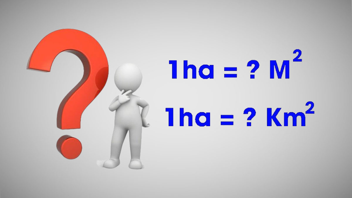 1ha Bằng Bao Nhiêu m2?