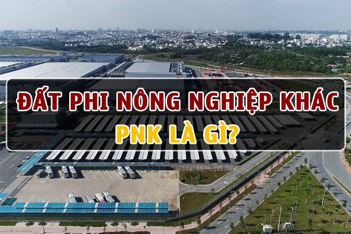 Đất PNK là gì?