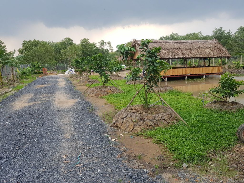 Chuyển Đổi Đất Ao Sang Đất Ở Có Được Không?
