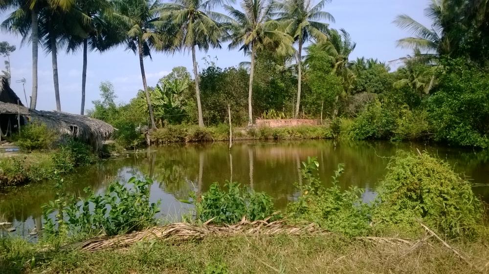 Có Nên Chuyển Đổi Đất Ao Sang Đất Ở Không?