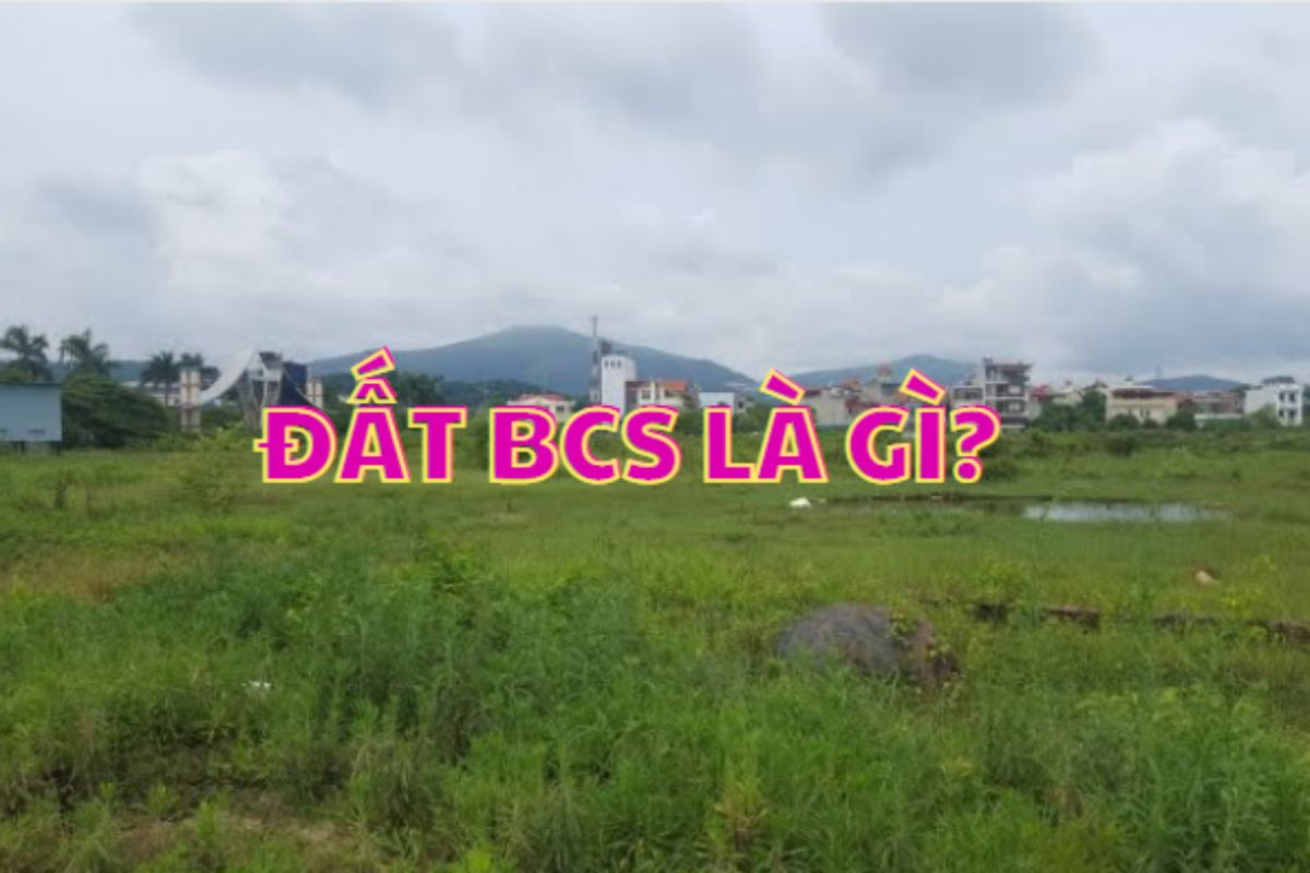 Đất BCS là gì?