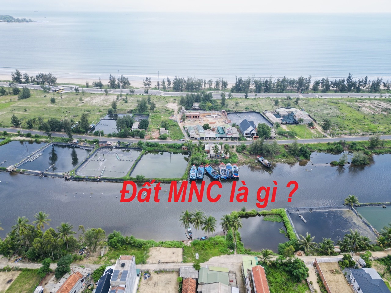 MNC là gì?