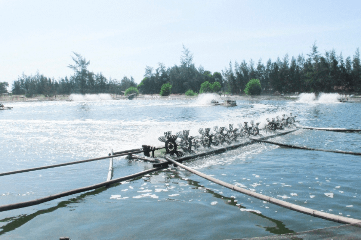 Đất NTS có được xây nhà không?